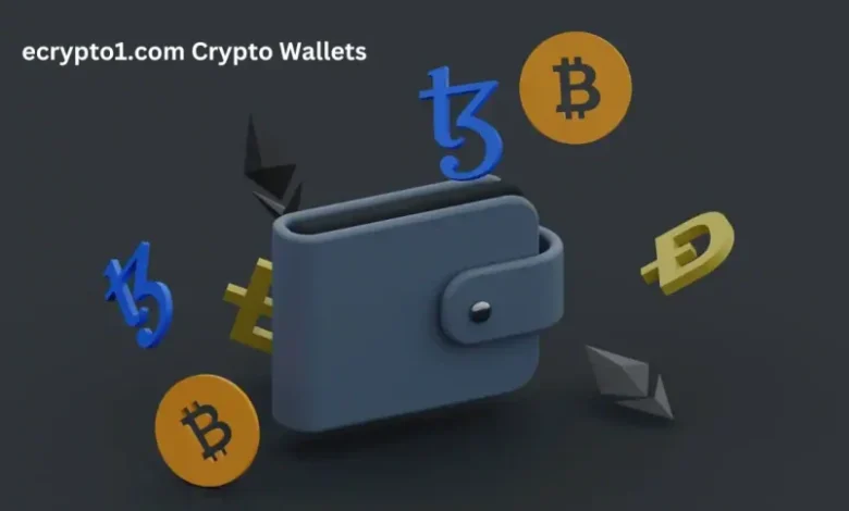 ecrypto1.com Crypto Wallets