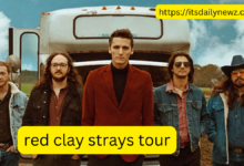 red clay strays tour